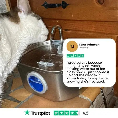Wireless Stainless Steel Cat Water Fountain 3.2L