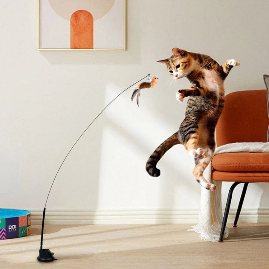 Bird Simulation Cat Toy