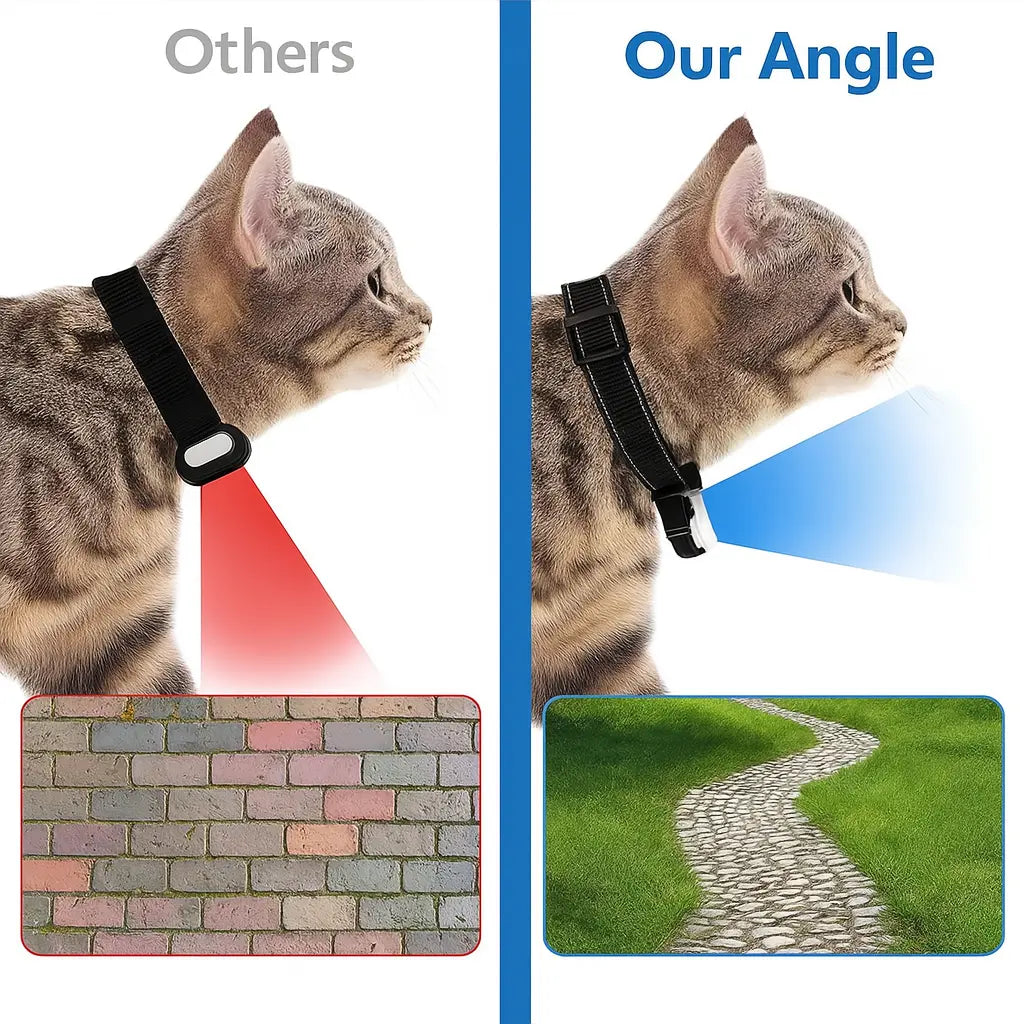 PetCam Pro