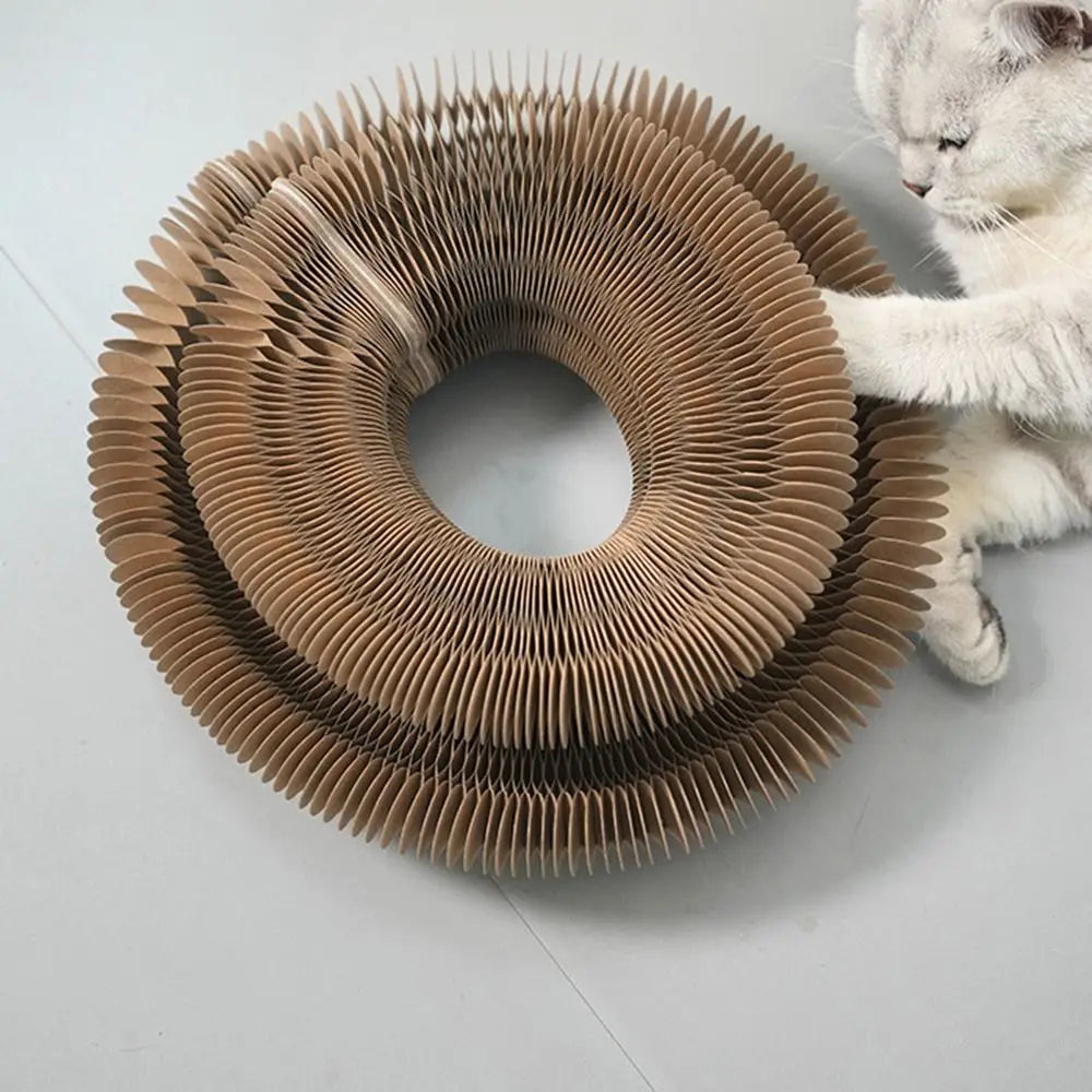 Transformable Kitty Scratchers Cat Toy Wear-Resistant No Crumbs Cat Scratching Toy Ball Board Resistant to Scratching