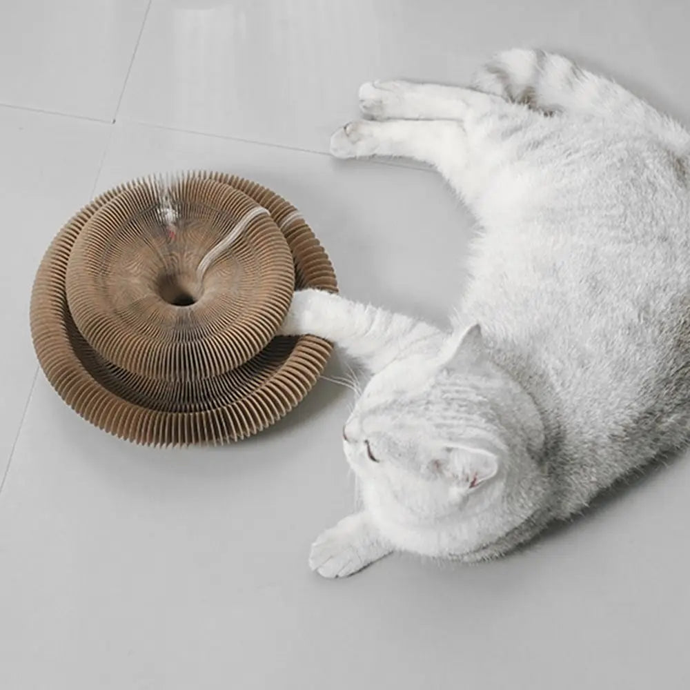 Transformable Kitty Scratchers Cat Toy Wear-Resistant No Crumbs Cat Scratching Toy Ball Board Resistant to Scratching
