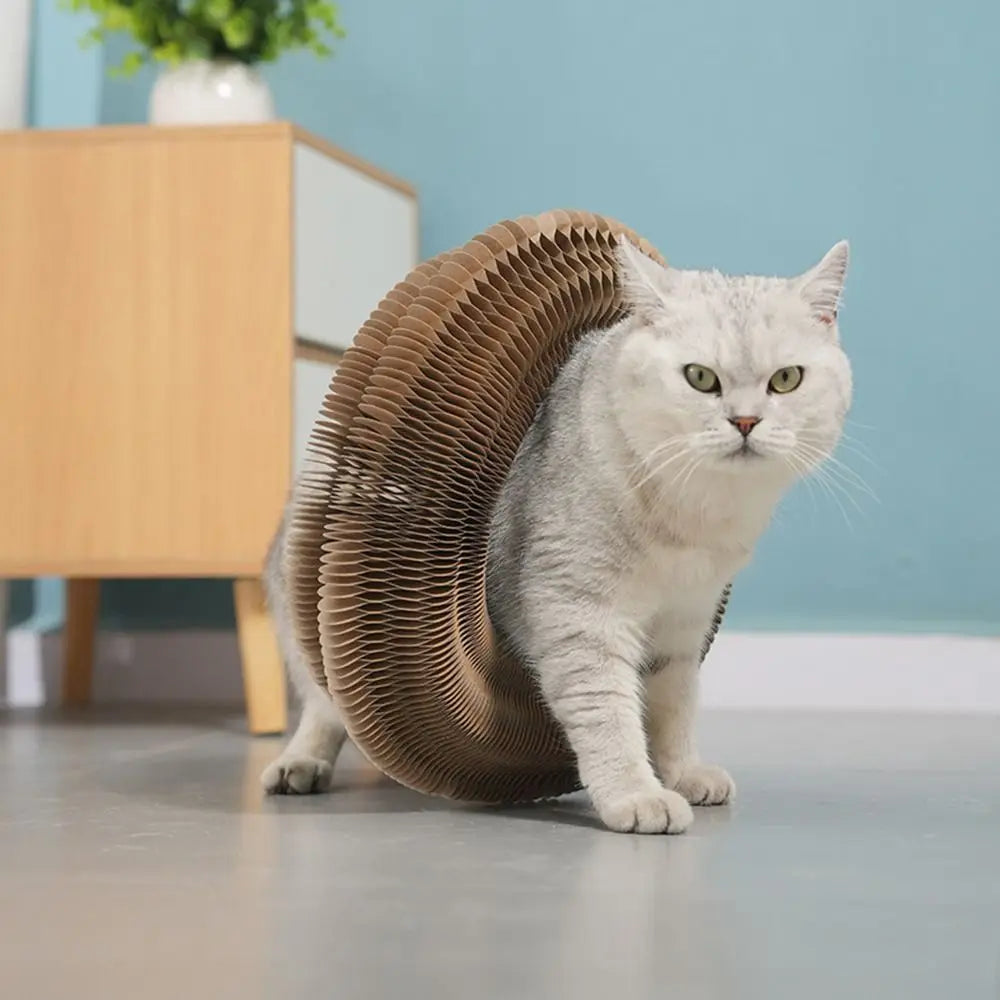 Transformable Kitty Scratchers Cat Toy Wear-Resistant No Crumbs Cat Scratching Toy Ball Board Resistant to Scratching
