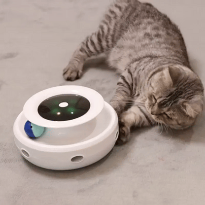 2 in 1 Smart Cat Toy