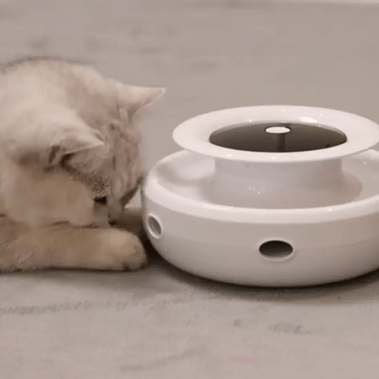 2 in 1 Smart Cat Toy
