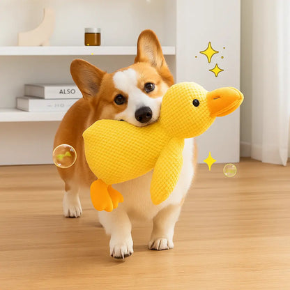 Calming Duck