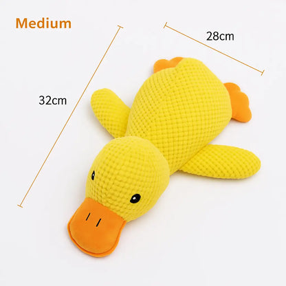Calming Duck