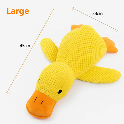 Calming Duck