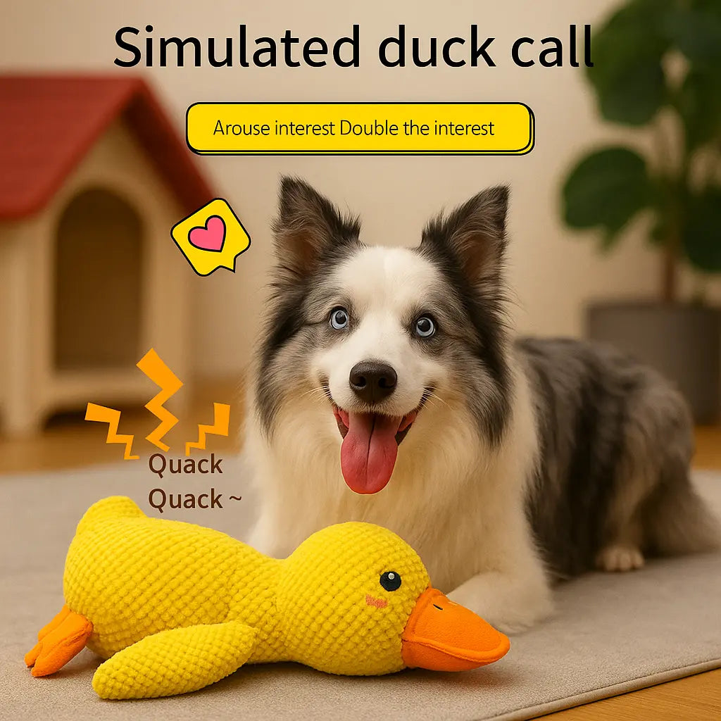 Calming Duck