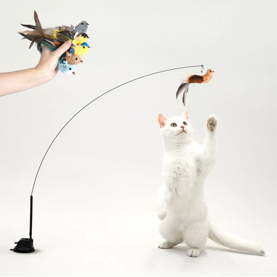 Bird Simulation Cat Toy