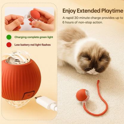Interactive pet bungee ball