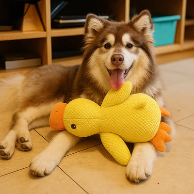 Calming Duck
