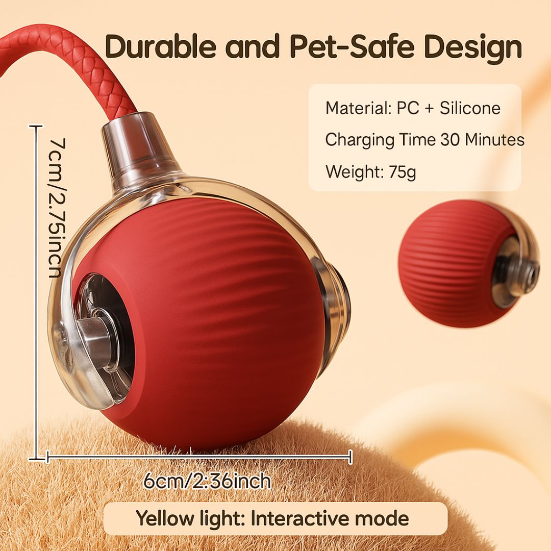 Interactive pet bungee ball
