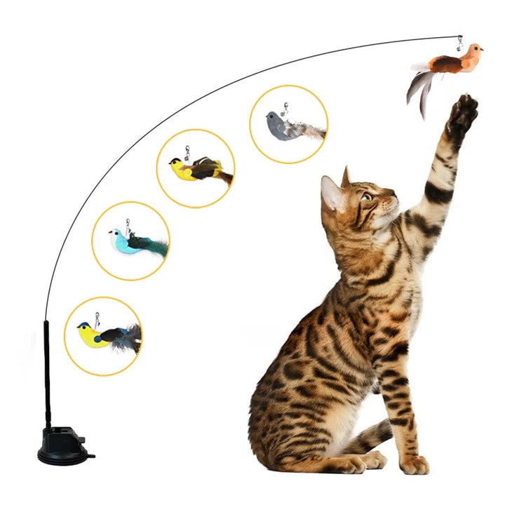 Bird Simulation Cat Toy