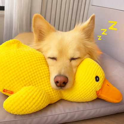 Calming Duck