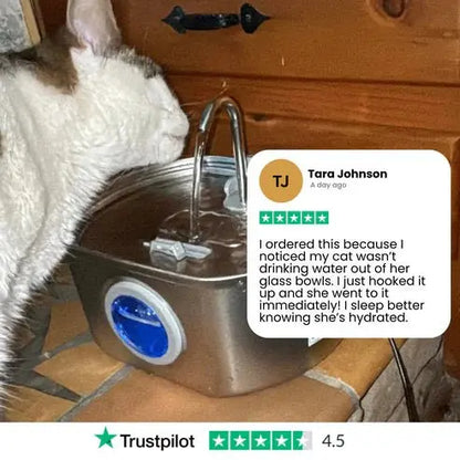 Wireless Stainless Steel Cat Water Fountain 3.2L