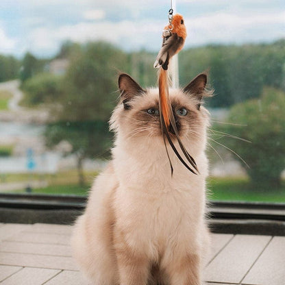 Bird Simulation Cat Toy
