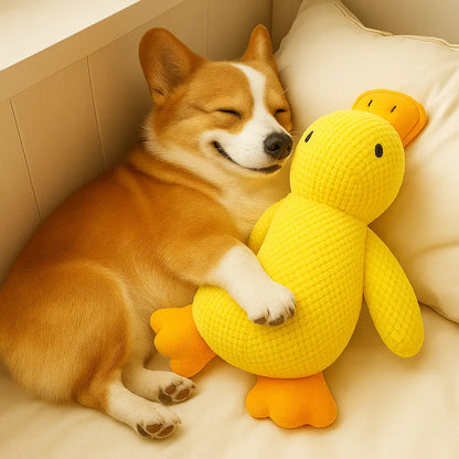 Calming Duck