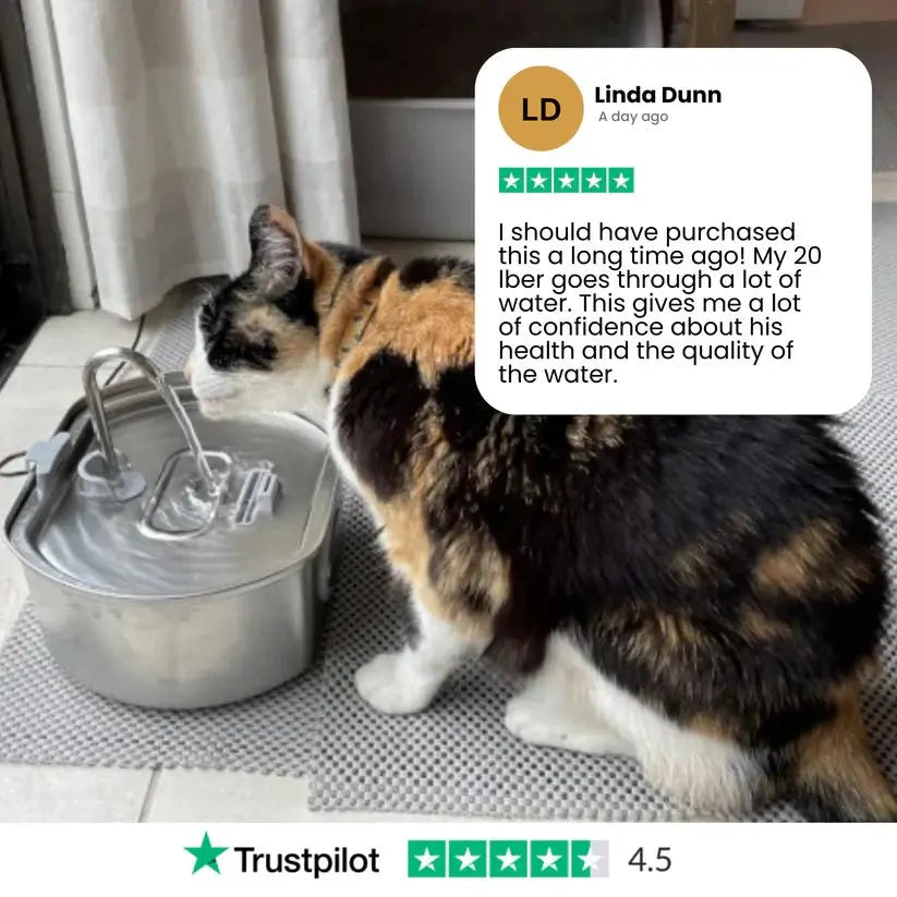 Wireless Stainless Steel Cat Water Fountain 3.2L