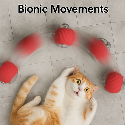 Interactive pet bungee ball