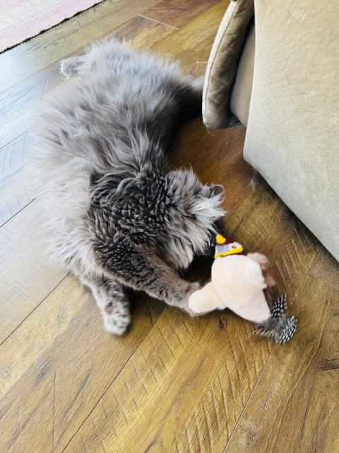 testimonial image