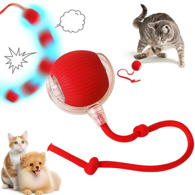 Interactive Pet Bungee Ball