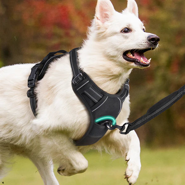 No Pull - Dog Harness