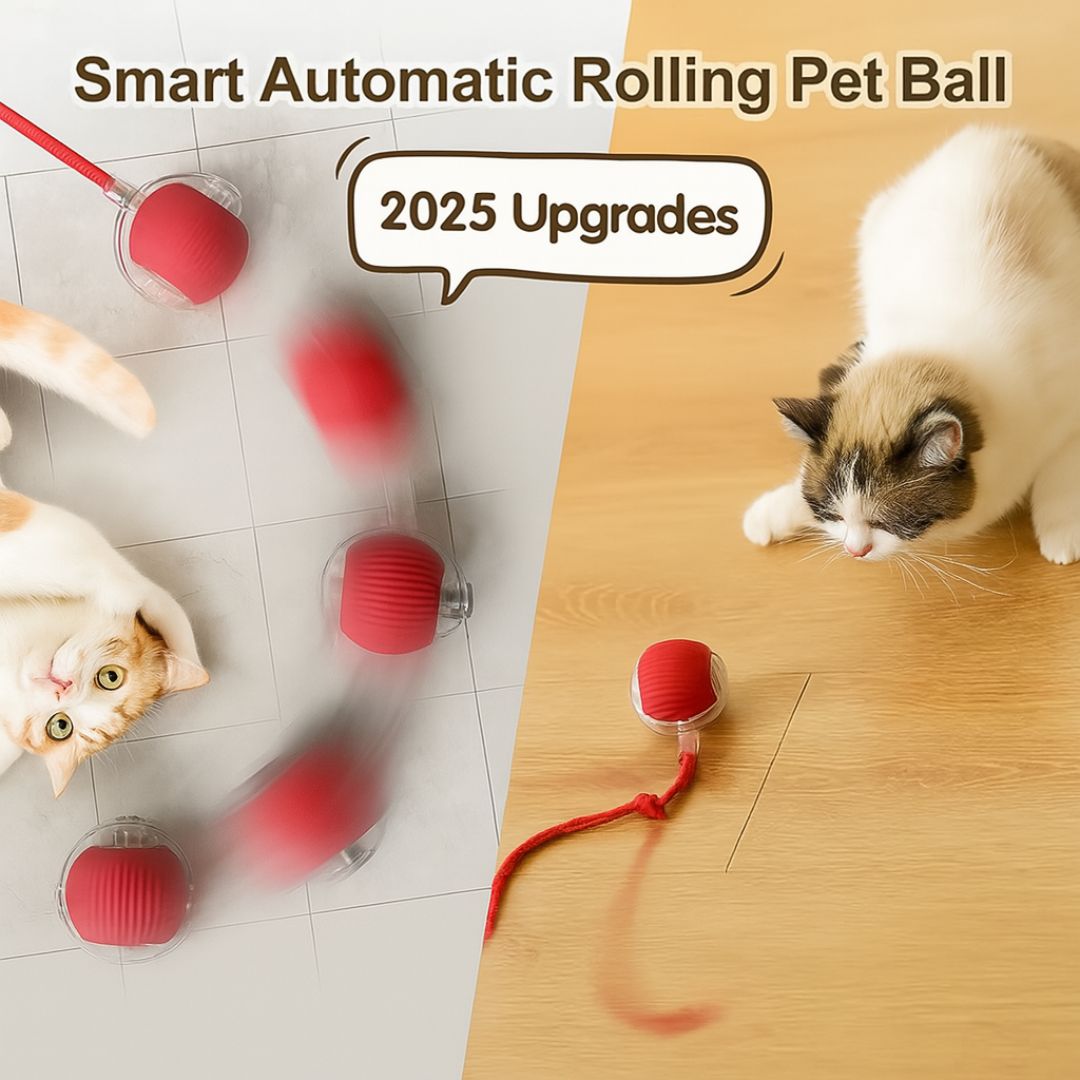 Interactive pet bungee ball