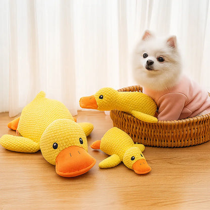 Calming Duck