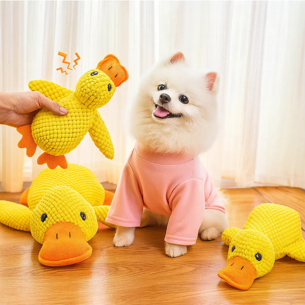 Calming Duck
