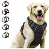 No Pull - Dog Harness