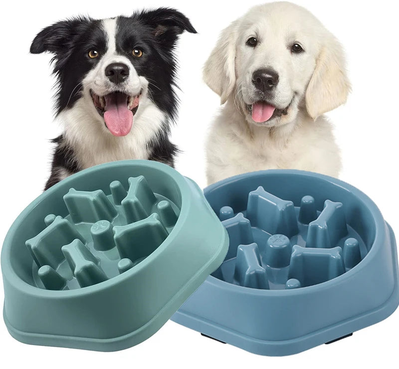 Anti-Choke Slow Feeder Bowl