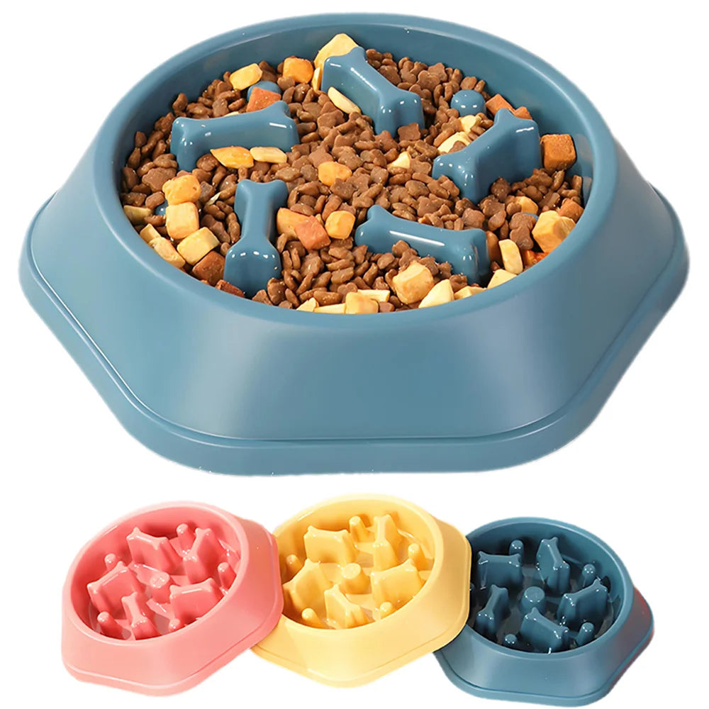 Anti-Choke Slow Feeder Bowl