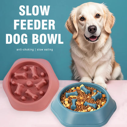 Anti-Choke Slow Feeder Bowl