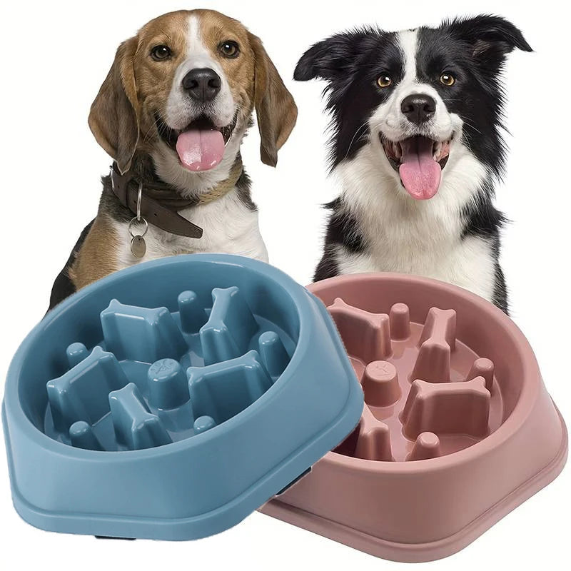 Anti-Choke Slow Feeder Bowl