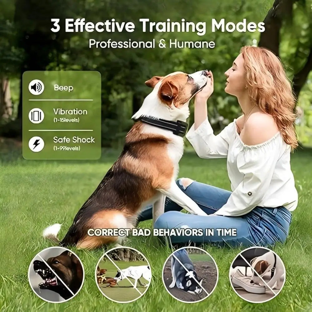 Dog Training Collar