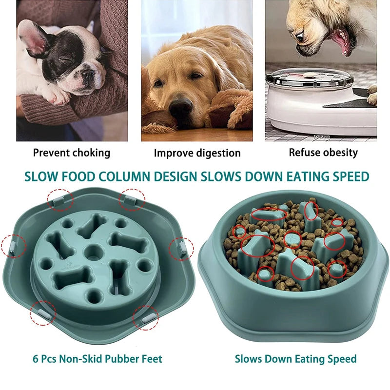 Anti-Choke Slow Feeder Bowl