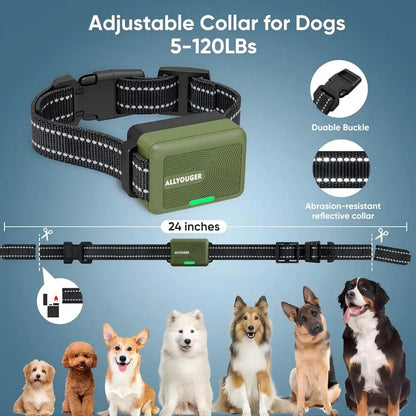 Dog Training Collar