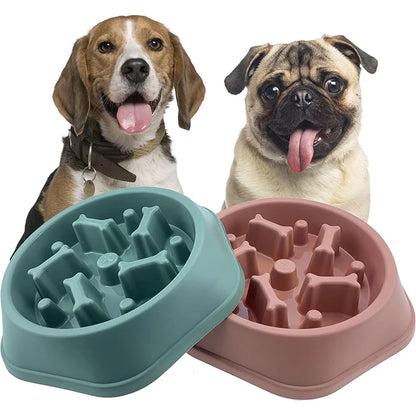 Anti-Choke Slow Feeder Bowl