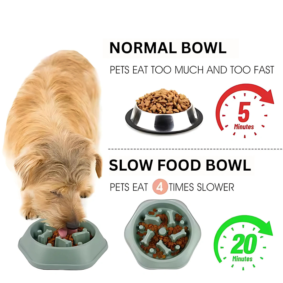 Anti-Choke Slow Feeder Bowl