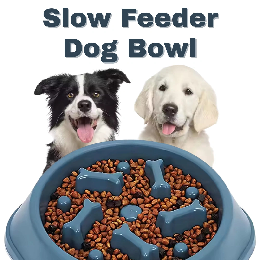 Anti-Choke Slow Feeder Bowl