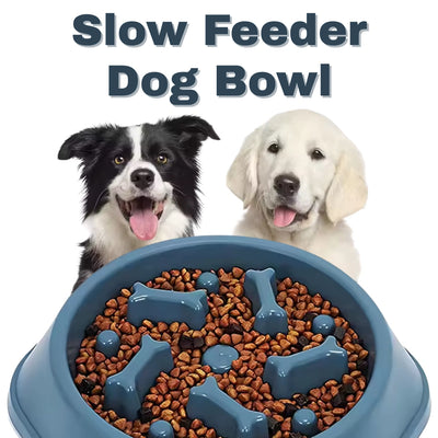 Anti-Choke Slow Feeder Bowl