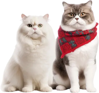 Cat Essentials